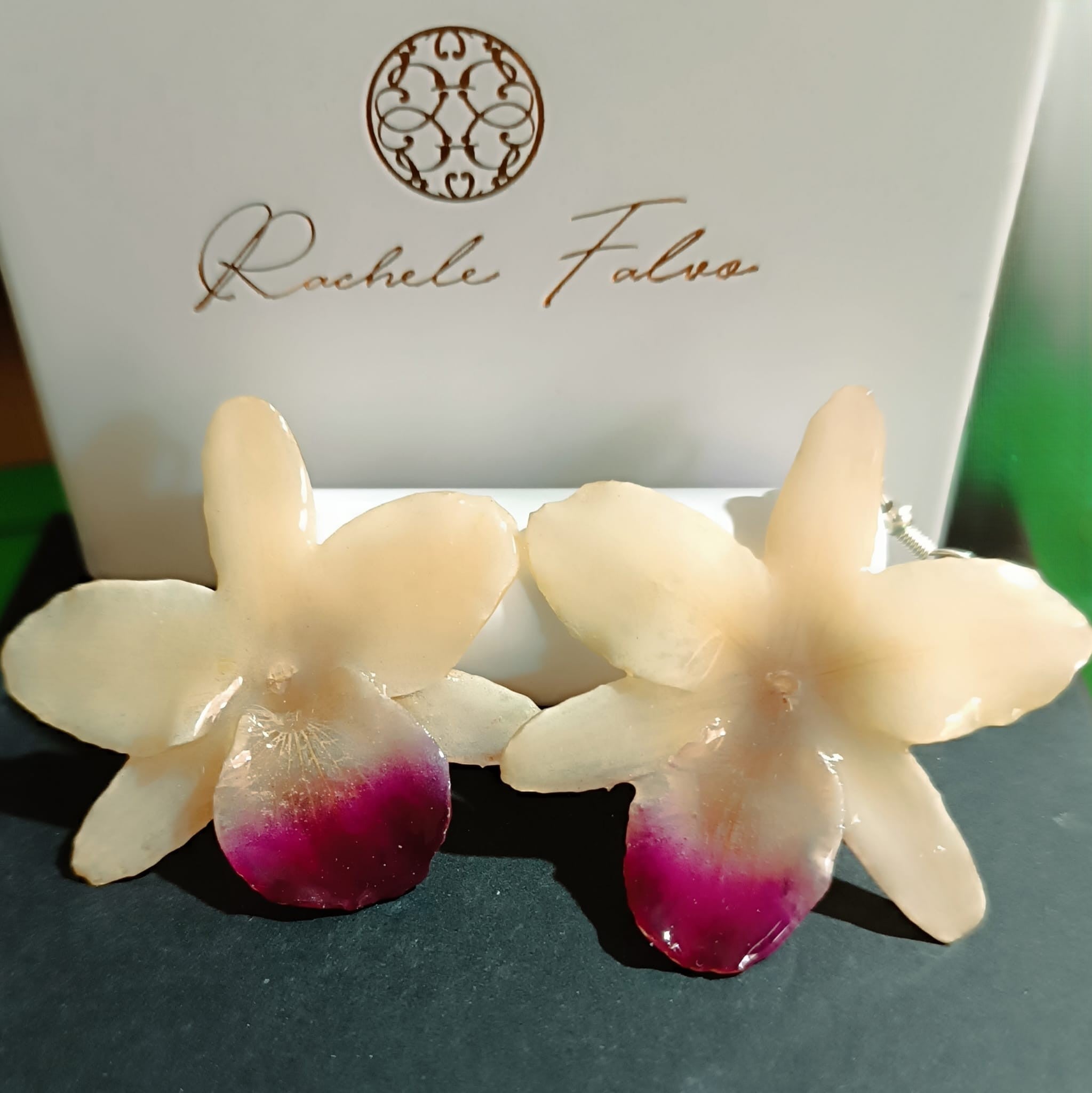 Coppia di orecchini artigianali realizzati con vere orchidee color panna e bianco con un intenso labello sfumato in viola scuro sul bordo inferiore, inglobate in resina lucida e mostrate davanti alla loro scatola regalo bianca con logo Rachele Falvo.