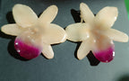 Coppia di orecchini artigianali realizzati con vere orchidee color panna e bianco con un intenso labello sfumato in viola scuro sul bordo inferiore, inglobate in resina lucida e mostrate davanti alla loro scatola regalo bianca con logo Rachele Falvo.