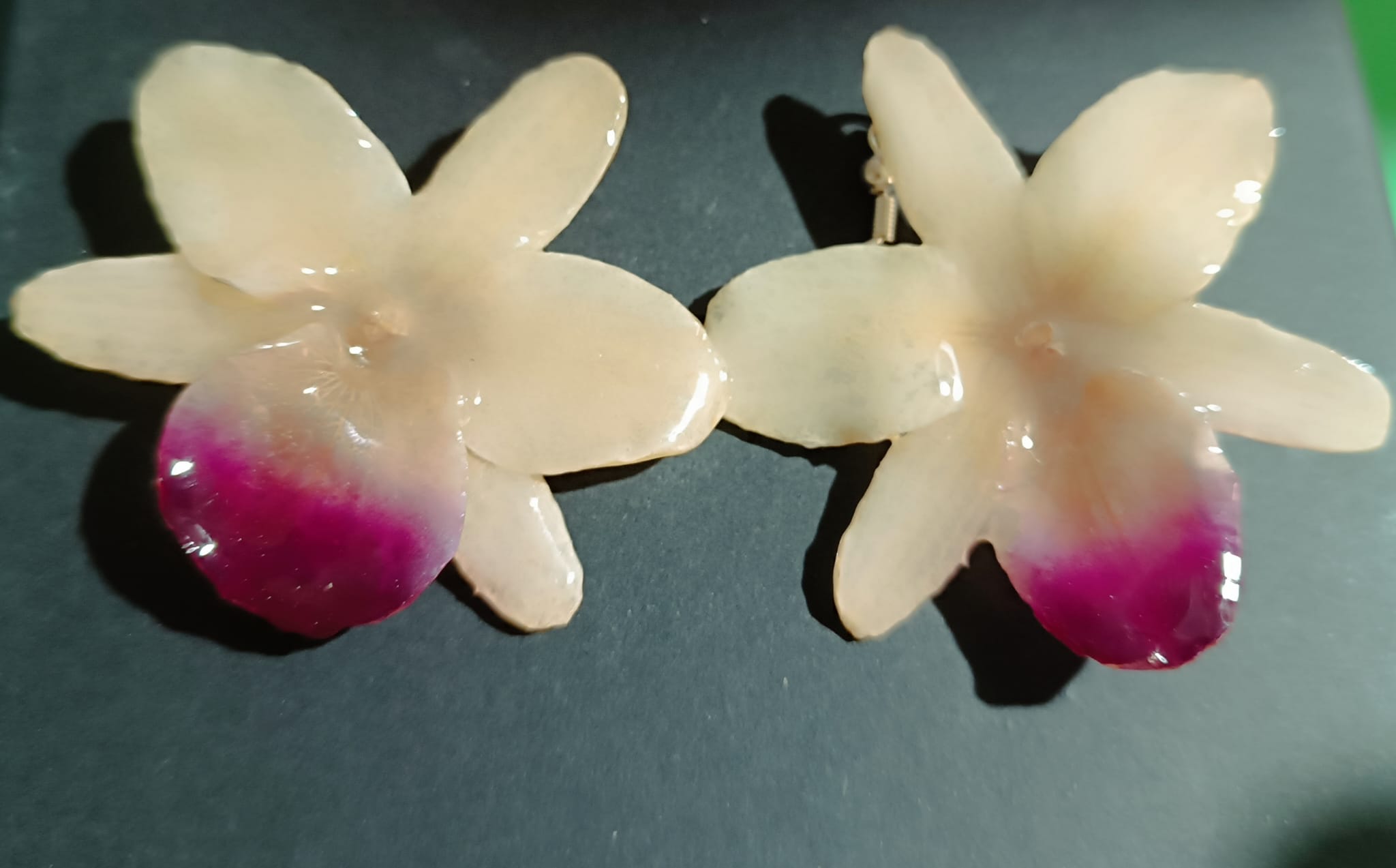 Coppia di orecchini artigianali realizzati con vere orchidee color panna e bianco con un intenso labello sfumato in viola scuro sul bordo inferiore, inglobate in resina lucida e mostrate davanti alla loro scatola regalo bianca con logo Rachele Falvo.