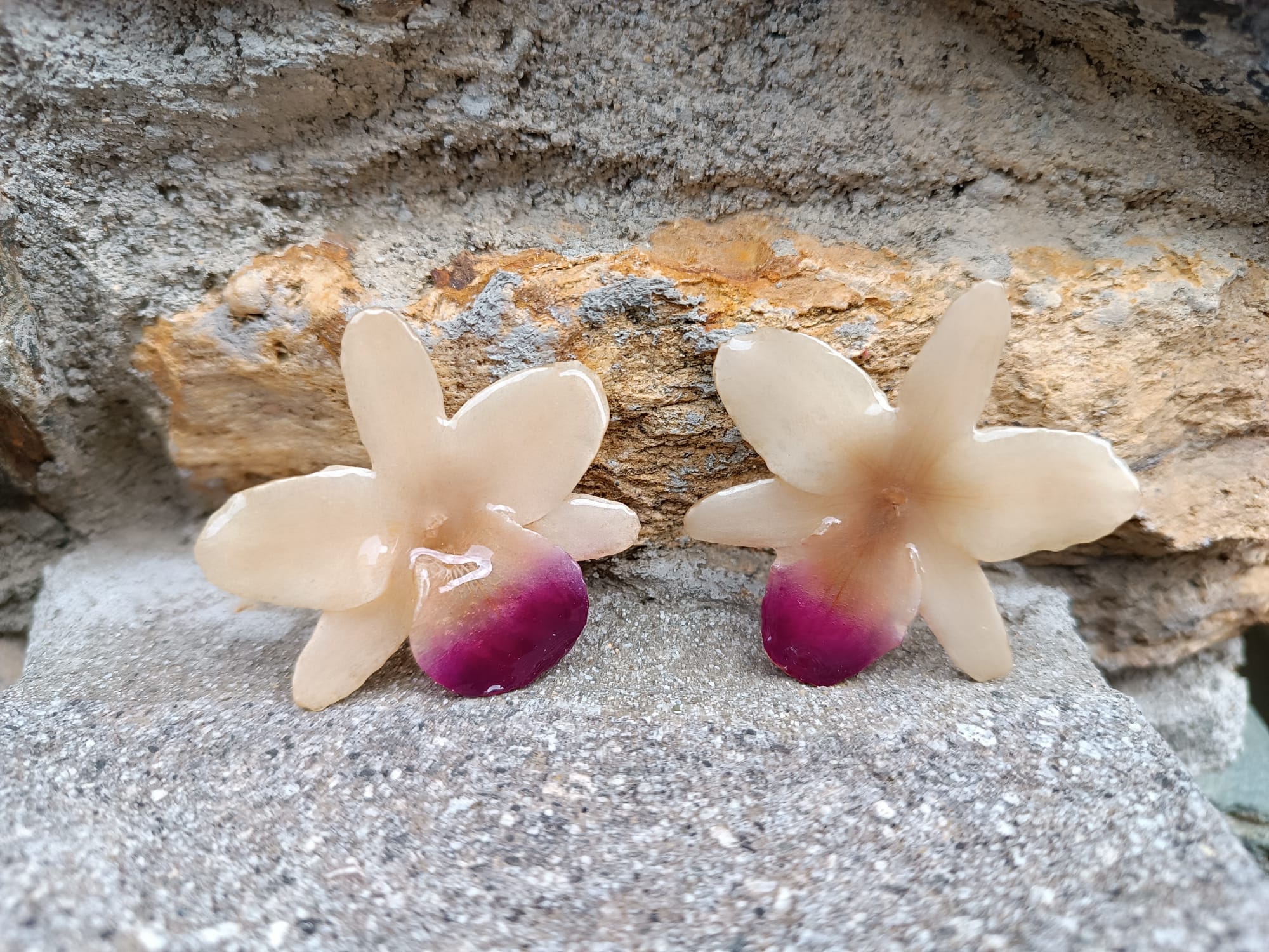 Coppia di orecchini artigianali realizzati con vere orchidee color panna e bianco con un intenso labello sfumato in viola scuro sul bordo inferiore, inglobate in resina lucida e mostrate davanti alla loro scatola regalo bianca con logo Rachele Falvo.
