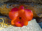 Collana saliscendi con vera orchidea arancione in resina