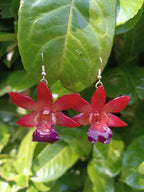 orecchini orchidee naturali in resina eleganti varianti disponibili rosa o viola