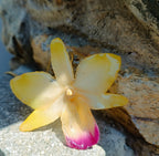 Collana artigianale con un ciondolo realizzato con una vera orchidea gialla sfumata in rosa sul labello, inglobata in resina trasparente e lucida. Il ciondolo è appeso a una catenina ritorta dorata in oro su bronzo