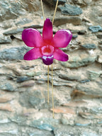 Collana saliscendi regolabile in oro su bronzo con ciondolo in vera orchidea Dendrobium fucsia - viola