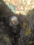 “Anello in argento brunito con grande perla barocca naturale da 18 carati”