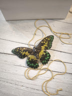 Collana con vera farfalla in resina e saliscendi in oro su bronzo regolabile