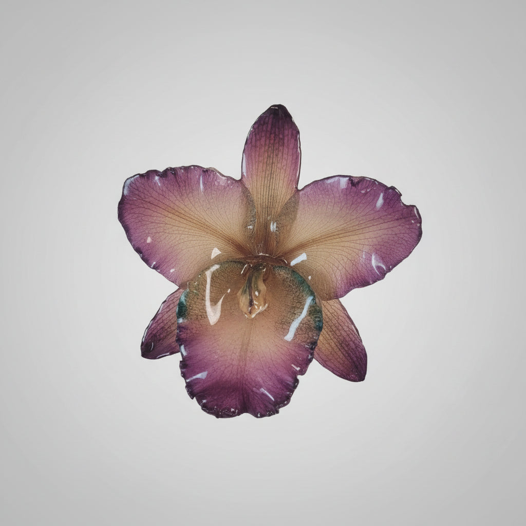 Collana fermacapelli con orchidea Cattleya Regina naturale inglobata in resina gioiello due in uno