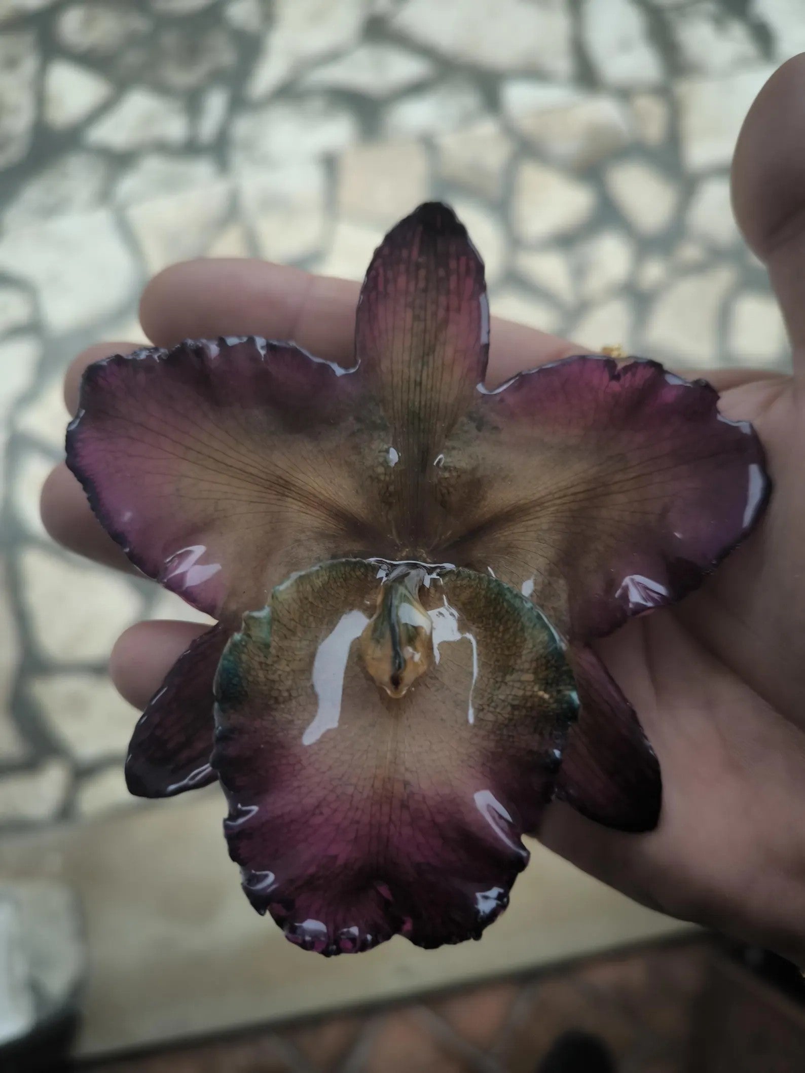 Collana fermacapelli con orchidea Cattleya Regina naturale inglobata in resina gioiello due in uno