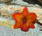 collana orchidea arancio rossa resina saliscendi oro galvanizzato elegante