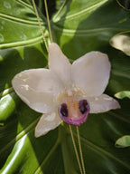 Collana con orchidea bianca naturale in resina con saliscendi oro simbolo purezza