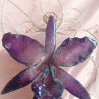 “Collana con orchidea Cattlaya naturale inglobata in resina con saliscendi in argento galvanizzato”