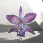 “Collana con orchidea Cattlaya naturale inglobata in resina con saliscendi in argento galvanizzato”