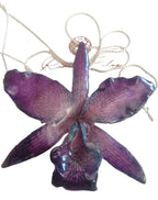 “Collana con orchidea Cattlaya naturale inglobata in resina con saliscendi in argento galvanizzato”