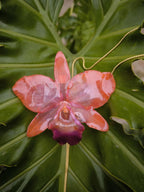 Collana con orchidea Cattleya arancione grande in resina e saliscendi in oro su bronzo