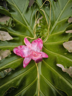 Collana con Vera Orchidea Cattleya Rosa in Resina Ecologica e Saliscendi in Oro su Bronzo – Gioiello Elegante con Garanzia