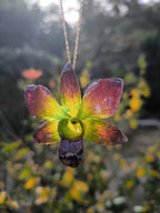 “Collana con orchidea Dendrobium Green Emerald resinata e catenina oro”