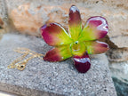 “Collana con orchidea Dendrobium Green Emerald resinata e catenina oro”