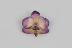 Collana orchidCollana orchidea Dendrobium iridescente con riflessi opalini in resina saliscendi oroea Dendrobium iridescente con riflessi opalini in resina saliscendi oro