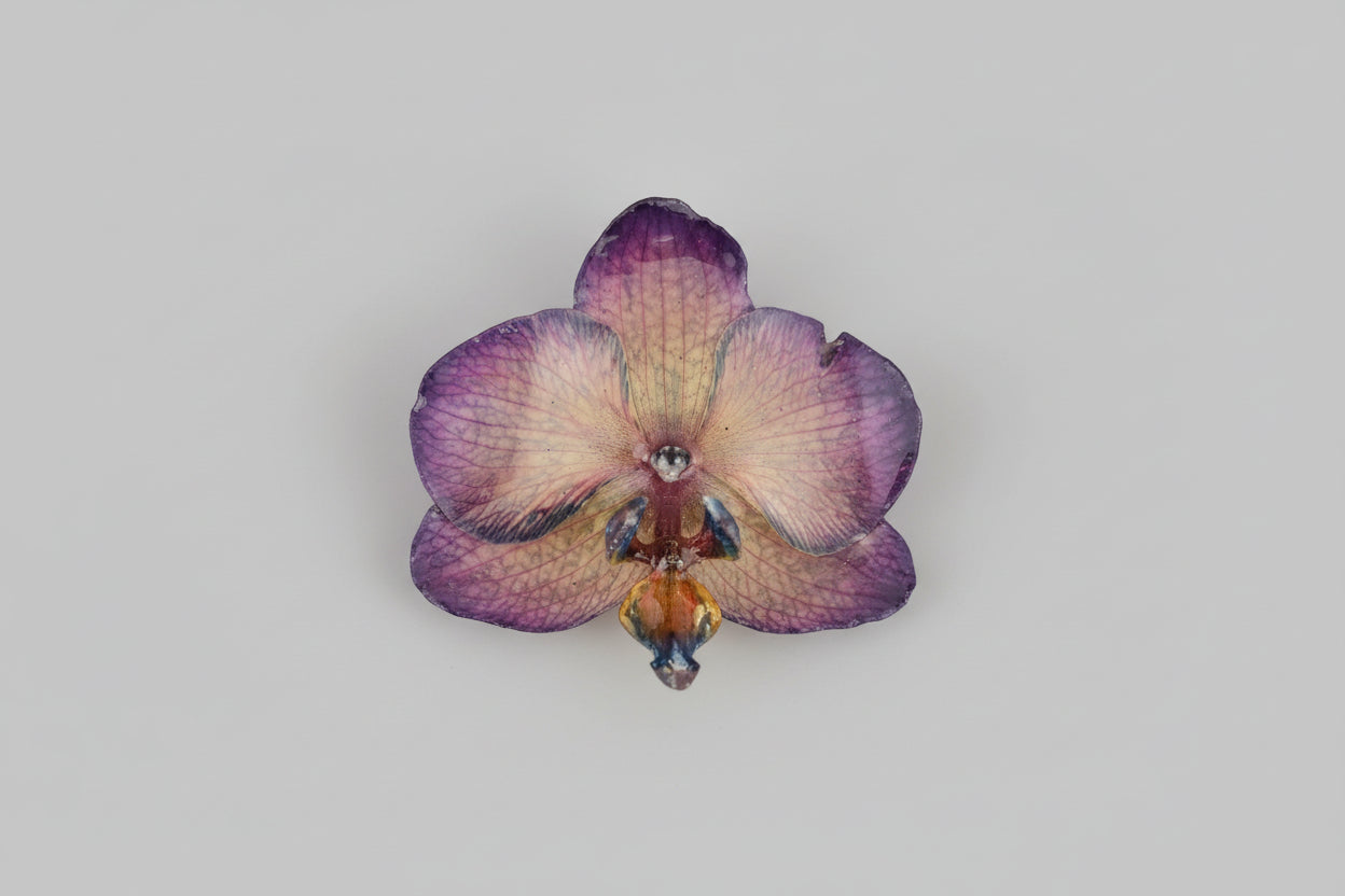 Collana orchidCollana orchidea Dendrobium iridescente con riflessi opalini in resina saliscendi oroea Dendrobium iridescente con riflessi opalini in resina saliscendi oro