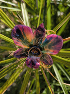 “Collana con orchidea Dendrobium metallic colors inglobata in resina”