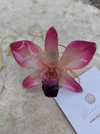 Collana con orchidea Dendrobium rosa naturale inglobata in resina con catena saliscendi oro su bronzo regolabile