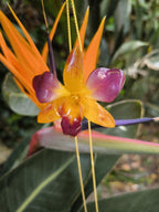 “Collana con orchidea naturale giallo viola inglobata in resina”