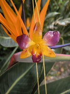 Collana con orchidea naturale giallo viola inglobata in resina