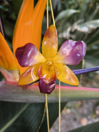 Collana con orchidea naturale giallo viola inglobata in resina