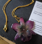 collana orchidea nobilis viola riflessi azzurri resina catenina oro nickel free elegante