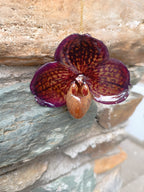 collana orchidea paphiopedilum viola in resina rara