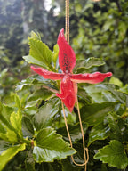 “Collana saliscendi con orchidea rossa naturale inglobata in resina trasparente”