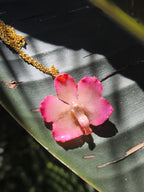 collana orchidea vanda rosa in resina elegante