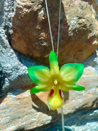Ciondolo artigianale con vera orchidea gialla e verde racchiusa in resina trasparente che cattura la luce mostrando sfumature diverse, con catena saliscendi in argento su bronzo.