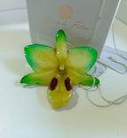 Ciondolo artigianale con vera orchidea gialla e verde racchiusa in resina trasparente che cattura la luce mostrando sfumature diverse, con catena saliscendi in argento su bronzo.