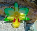Ciondolo artigianale con vera orchidea gialla e verde racchiusa in resina trasparente che cattura la luce mostrando sfumature diverse, con catena saliscendi in argento su bronzo.
