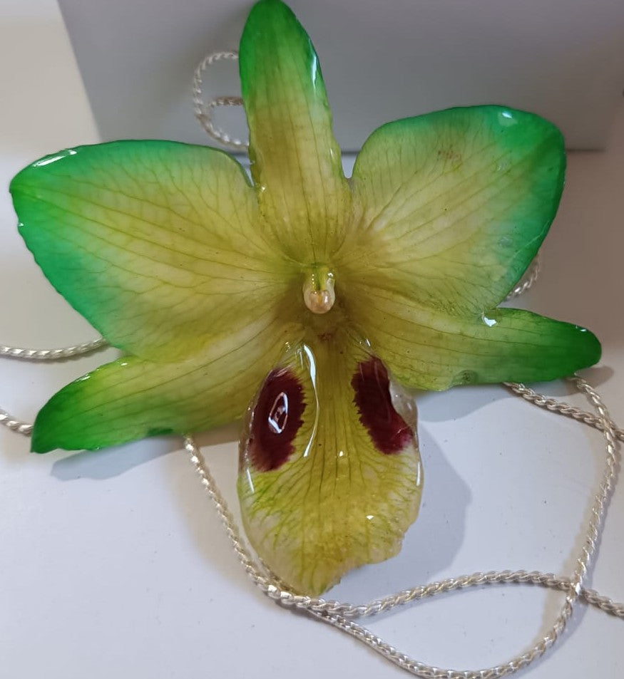 Ciondolo artigianale con vera orchidea gialla e verde racchiusa in resina trasparente che cattura la luce mostrando sfumature diverse, con catena saliscendi in argento su bronzo