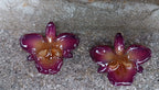 orecchini artigianali al lobo realizzati con intere orchidee vere in resina lucida, una variante viola, disposte sulla loro scatola regalo bianca firmata Rachele Falvo.