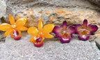 orecchini artigianali al lobo realizzati con intere orchidee vere in resina lucida, una variante  viola ed una giallo ocra con sfumature viola, 