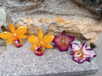 orecchini artigianali al lobo realizzati con intere orchidee vere in resina lucida, una variante viola ed una   giallo ocra con sfumature viola, disposte sulla loro scatola regalo bianca firmata Rachele Falvo.