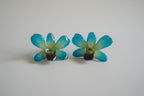 Orecchini con orchidee naturali inglobate in resina con ganci in argento leggeri ed eleganti