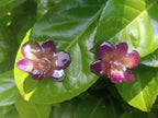 Purple and Turquoise Orchid Resin Earrings with Silver Hooks – Lobe