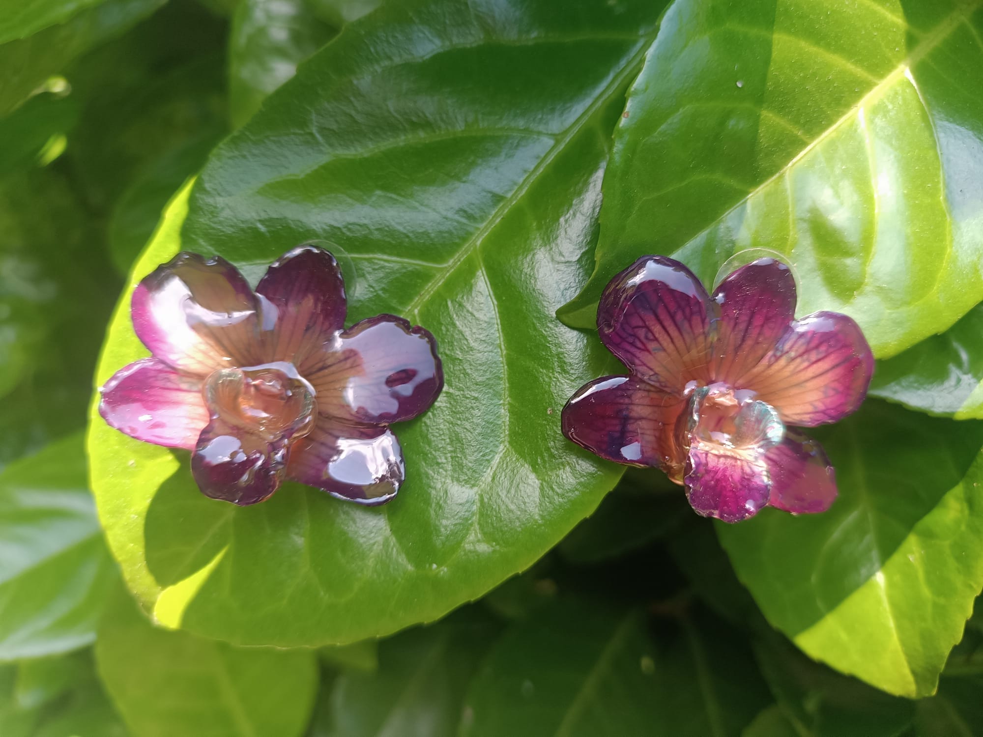 Purple and Turquoise Orchid Resin Earrings with Silver Hooks – Lobe