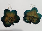 Orecchini orchidee Vanda verdi e gialle naturali in resina con ganci in argento