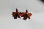 Orecchini con orchidee naturali arancio inglobate in resina con ganci in argento