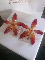 Orecchini con orchidee naturali arancio e panna in resina con ganci in argento