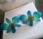 Orecchini con orchidee naturali azzurre inglobate in resina con ganci in argento