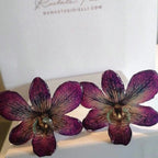 Orecchini con orchidee Dendrobium vere in resina con ganci in argento