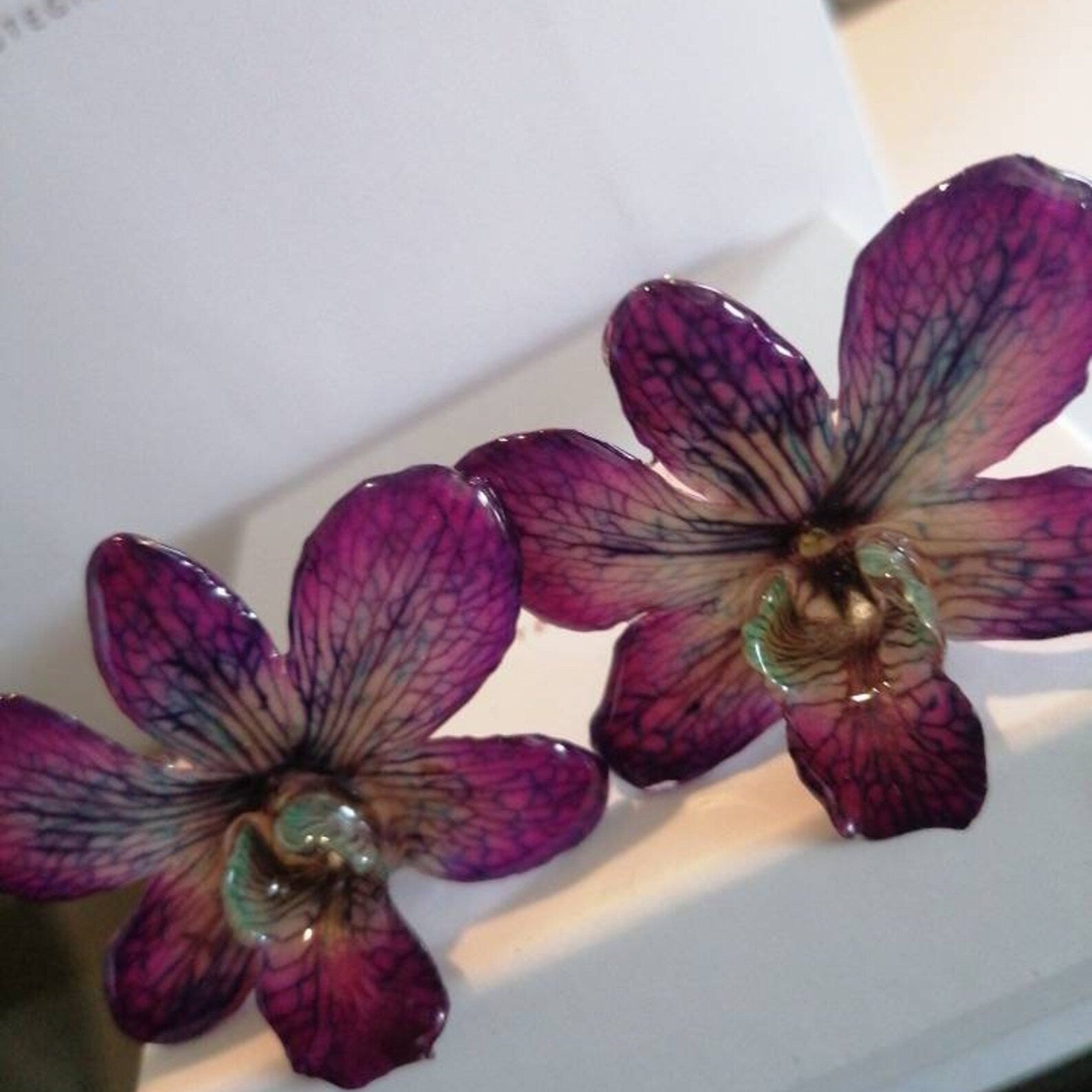 Orecchini con orchidee Dendrobium vere in resina con ganci in argento