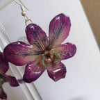 Orecchini con orchidee Dendrobium vere in resina con ganci in argento