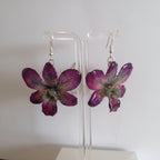 Orecchini con orchidee Dendrobium vere in resina con ganci in argento
